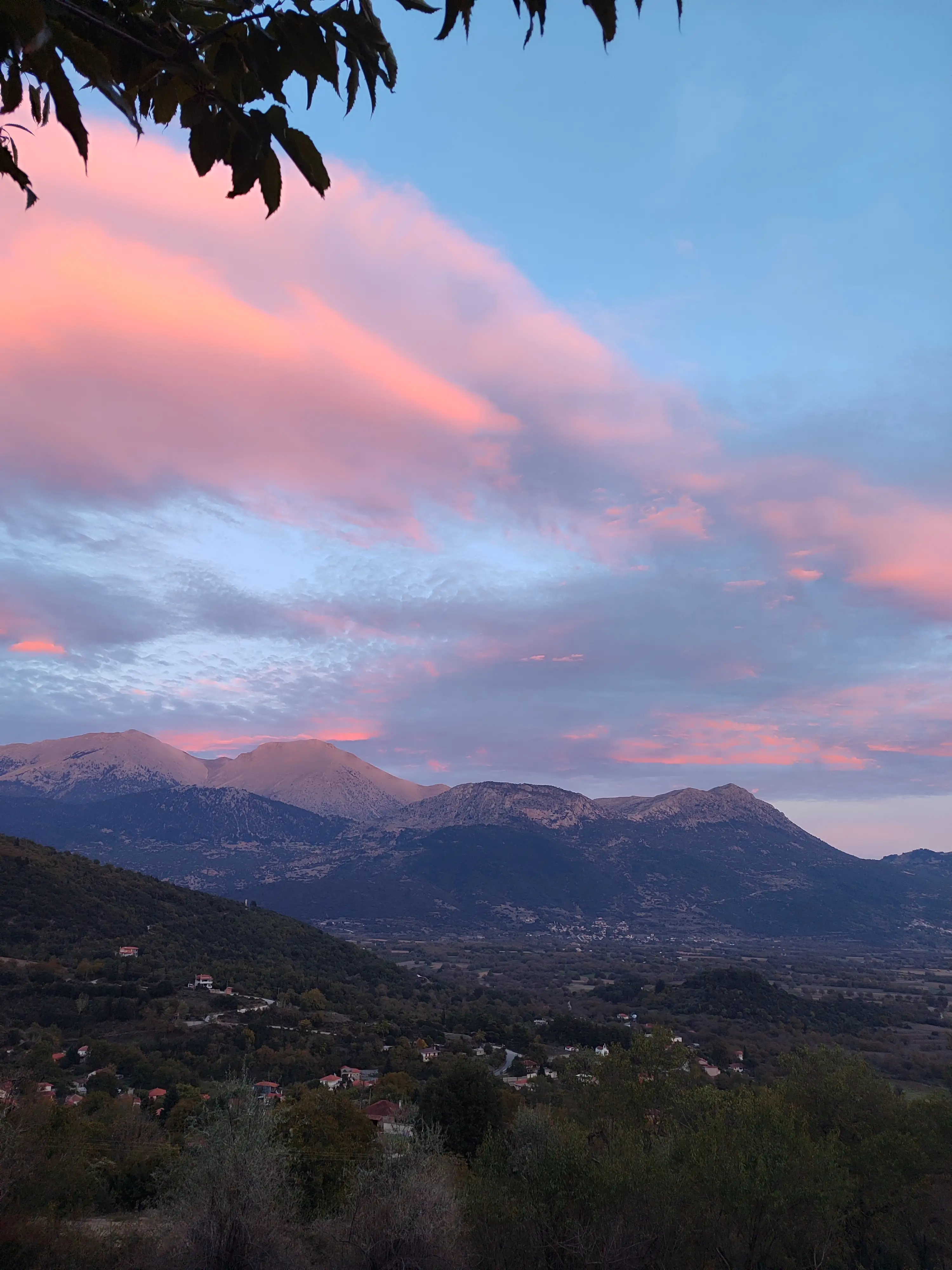 Τα Πεντέλεια Μεζεδοπωλείον Καφεπαντοπωλείον